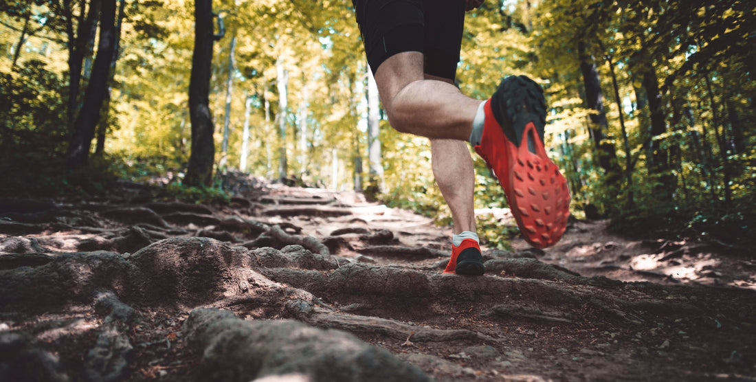 Material obrigatório em provas de trail: a lista completa