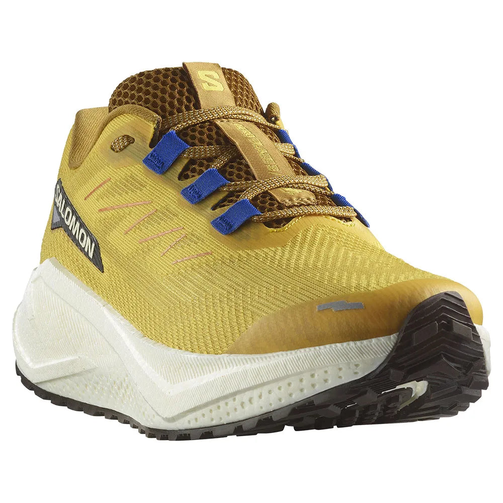Salomon Aero Blaze 3 Grvl Spicy Mustard
