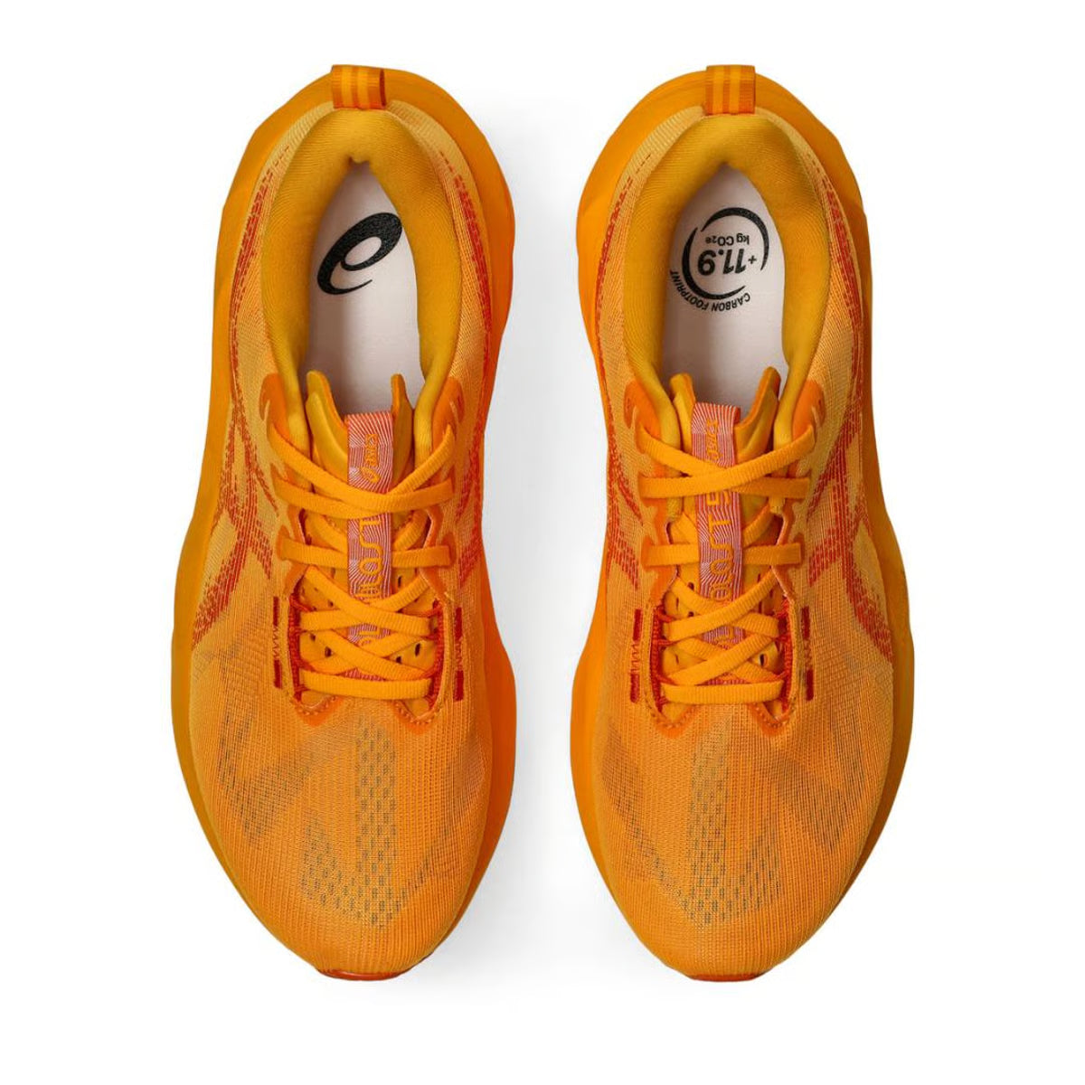 Asics Novablast 5 - Yamabuki / Anzu